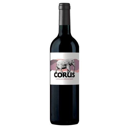 corus 500x500 - Corus - Cépage résistant