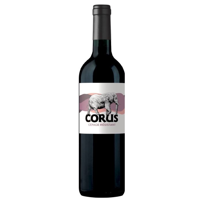 corus 700x700 - Corus - Cépage résistant